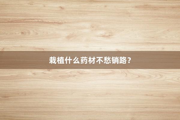 栽植什么药材不愁销路？